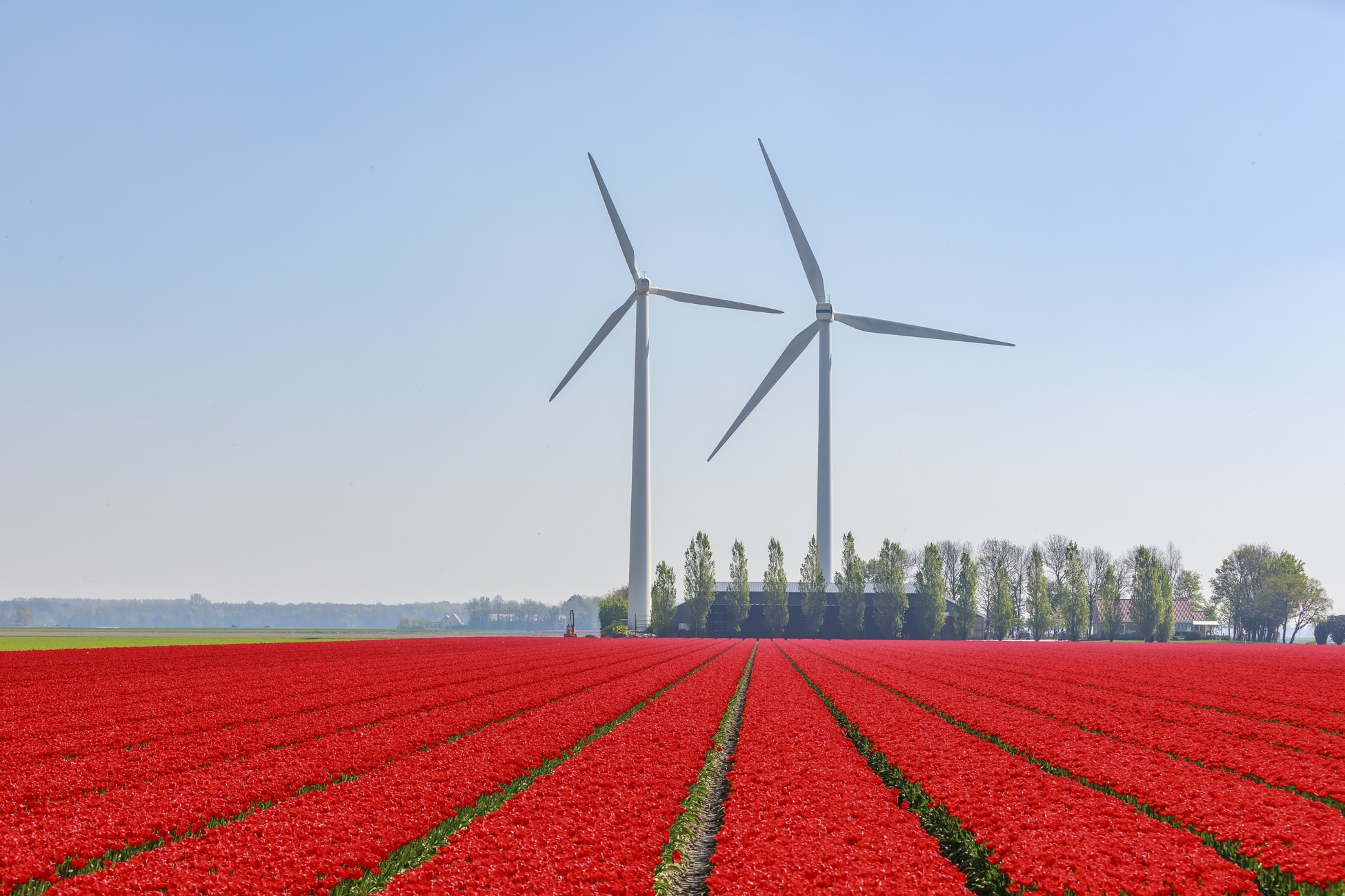 Netherlands