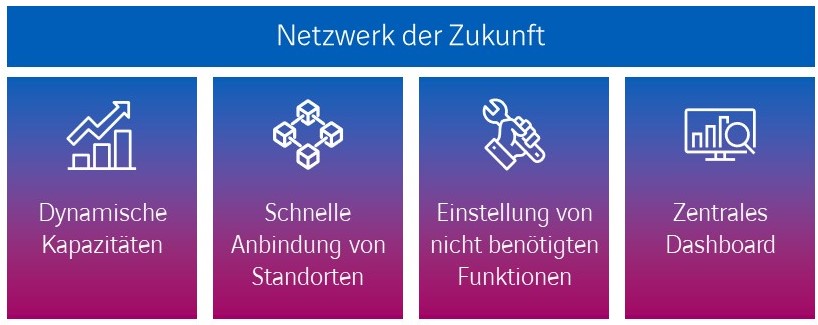 Network as a Service Netzwerk der Zukunft