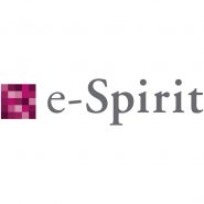 e-Spirit