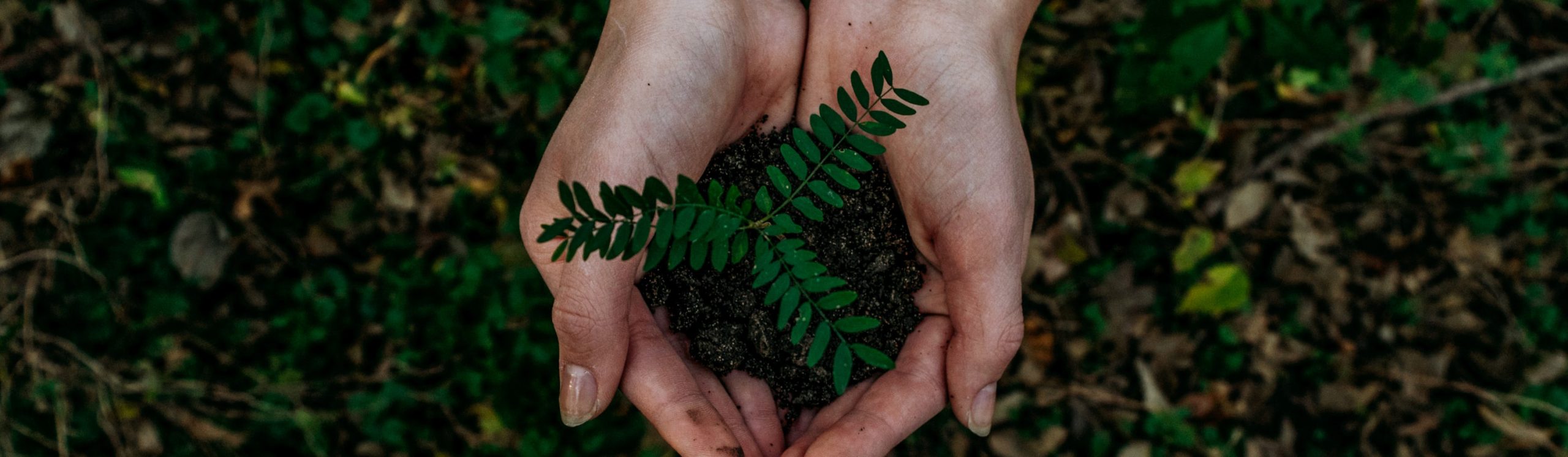 Axians Nachhaltigkeit und Umwelt