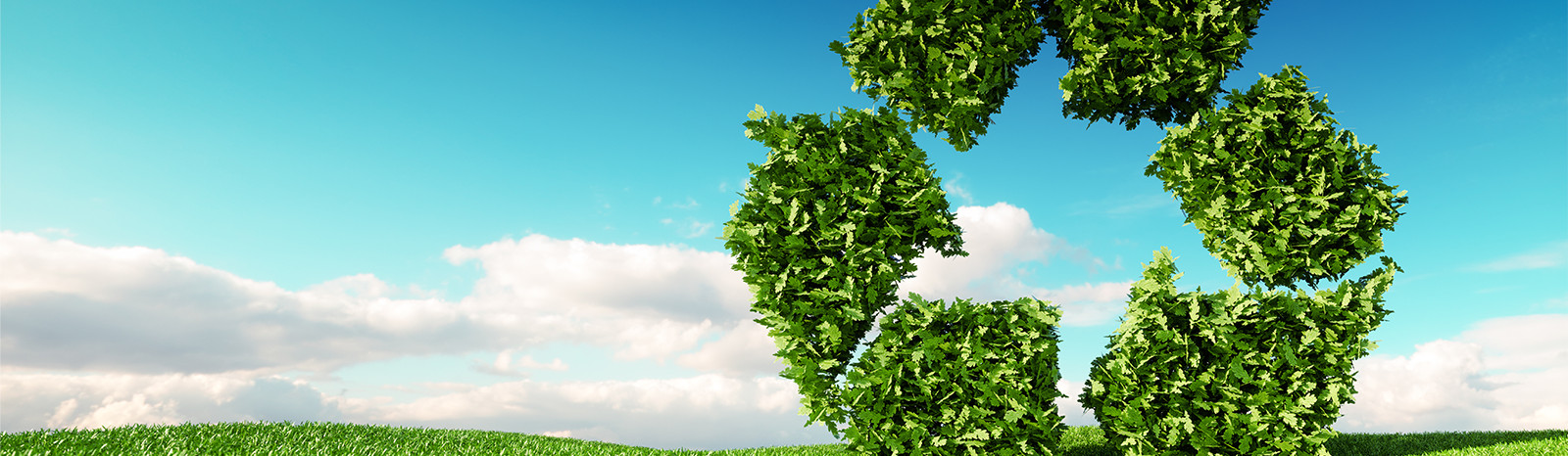 Header Branche Entsorger Recycling Umwelt