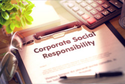 Wirtschaft & Nachhaltigkeit vereint – So werden Unternehmen den neuen CSRD-Richtlinien gerecht
