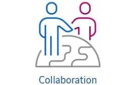 Network as a Service Collaboration
