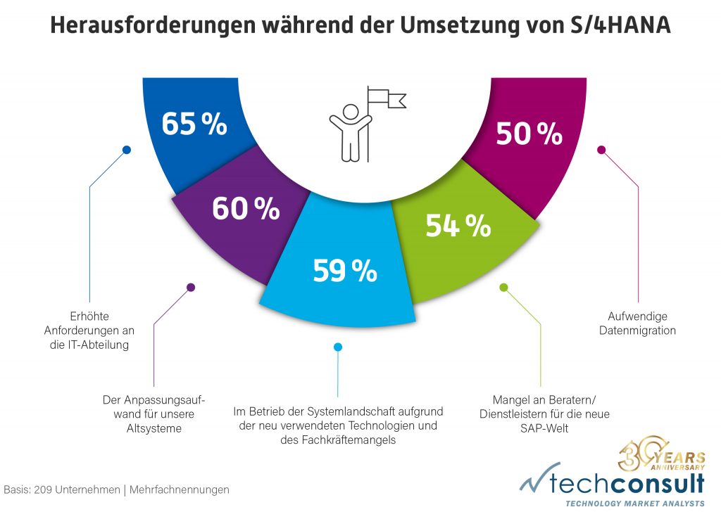 Übersicht der Herausforderungen von Unternehmen während der Umsetzung von S/4HANA