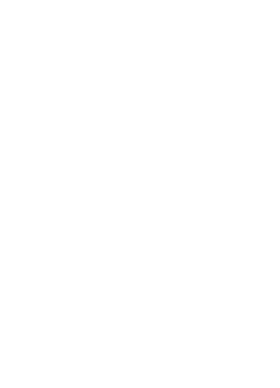 Consulting Audit