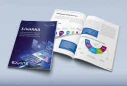 Studie SAP S4HANA Implementierung