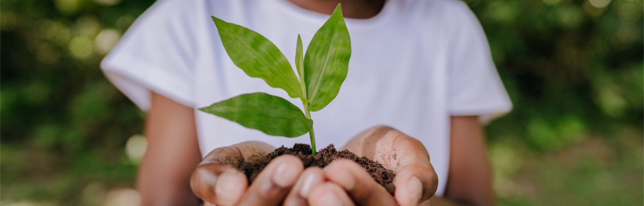 Green Cyber Security Grüne Cybersicherheit Header