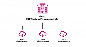 2-Tier ERP Strategie