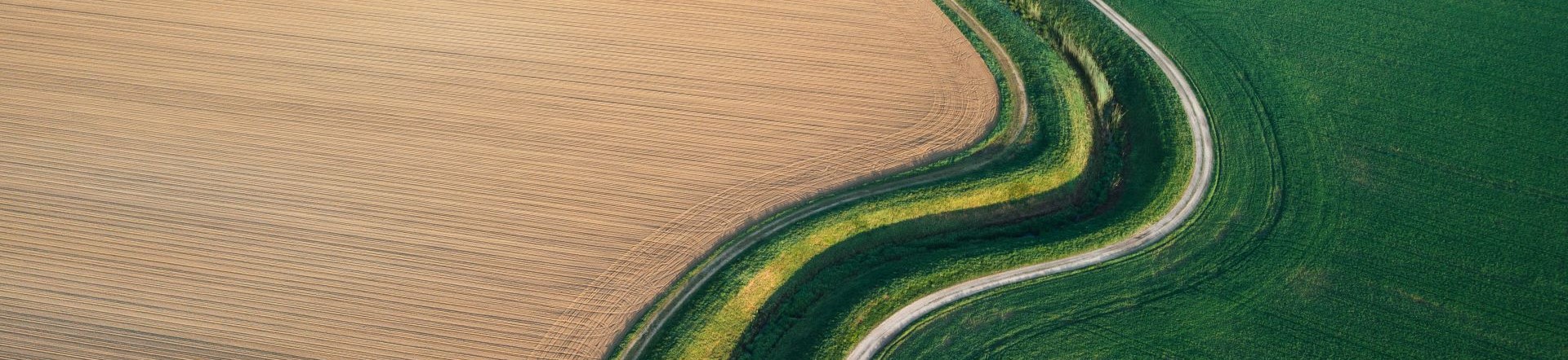 IDC Infobrief Nachhaltigkeit Header
