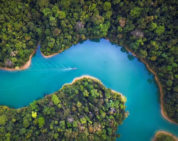 IDC Infobrief Nachhaltigkeit Tiles